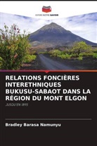Bradley Barasa Namunyu - RELATIONS FONCIÈRES INTERETHNIQUES BUKUSU-SABAOT DANS LA RÉGION DU MONT ELGON