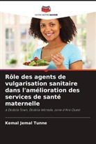 Kemal Jemal Tunne - Rôle des agents de vulgarisation sanitaire dans l'amélioration des services de santé maternelle
