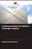 Aynalem Worku Abera - L'abreuvement du bétail à l'énergie solaire