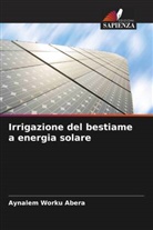 Aynalem Worku Abera - Irrigazione del bestiame a energia solare