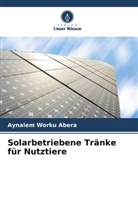 Aynalem Worku Abera - Solarbetriebene Tränke für Nutztiere