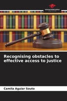 Camila Aguiar Souto - Recognising obstacles to effective access to justice