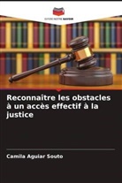 Camila Aguiar Souto - Reconnaître les obstacles à un accès effectif à la justice