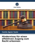Camila Aguiar Souto - Hindernisse für einen effektiven Zugang zum Recht erkennen
