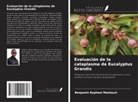 Benjamin Raphael Mashauri - Evaluación de la cataplasma de Eucalyptus Grandis