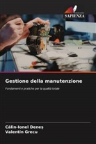 Calin-Ionel Denes, Valentin Grecu - Gestione della manutenzione