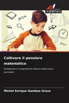 Michel Enrique Gamboa Graus - Coltivare il pensiero matematico