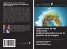 Esther Nguemo Ujia, ONU PAUL AGADA, Iorlumun Tarlumun - Importancia de las relaciones público/comunitarias en la gestión de la imagen