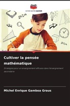 Michel Enrique Gamboa Graus - Cultiver la pensée mathématique