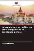 Zsanett Fantoly - Les questions actuelles du droit hongrois de la procédure pénale
