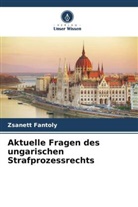 Zsanett Fantoly - Aktuelle Fragen des ungarischen Strafprozessrechts