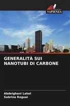 Abdelghani LAKEL, Sabrina Roguai - GENERALITÀ SUI NANOTUBI DI CARBONE