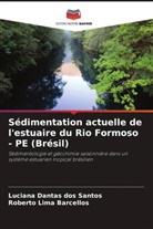Roberto Lima Barcellos, Luciana Dantas dos Santos - Sédimentation actuelle de l'estuaire du Rio Formoso - PE (Brésil)