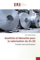 AFAF AMARA-REKKAB - Goethite et Hématite pour la valorisation du Zn (II)