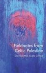 Diarmait Mac Giolla Chriost - Fieldnotes From Celtic Palestine