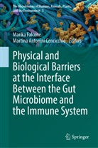 Antonini Cencicchio, Martina Antonini Cencicchio, Marika Falcone - Physical and Biological Barriers at the Interface Between the Gut Microbiome and the Immune System