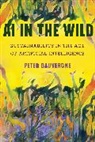 Peter Dauvergne - AI in the Wild