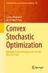 Teemu Pennanen, Ari-Pekka Perkkiö - Convex Stochastic Optimization