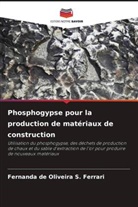 Fernanda de Oliveira S. Ferrari - Phosphogypse pour la production de matériaux de construction