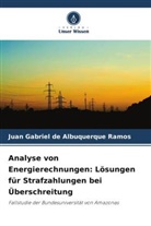 Juan Gabriel de Albuquerque Ramos - Analyse von Energierechnungen: Lösungen für Strafzahlungen bei Überschreitung