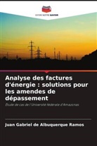 Juan Gabriel de Albuquerque Ramos - Analyse des factures d'énergie : solutions pour les amendes de dépassement