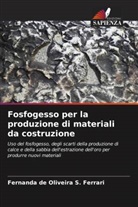 Fernanda de Oliveira S. Ferrari - Fosfogesso per la produzione di materiali da costruzione