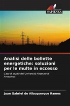 Juan Gabriel de Albuquerque Ramos - Analisi delle bollette energetiche: soluzioni per le multe in eccesso