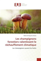 Nérée Dr Onguene Awana, Nérée Onguene Awana - Les champignons forestiers ralentissent le réchauffement climatique