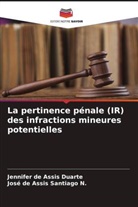 Jennifer de Assis Duarte, José de Assis Santiago N. - La pertinence pénale (IR) des infractions mineures potentielles