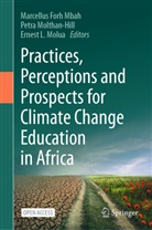 Ernest L Molua, Marcellus Forh Mbah, Petra Molthan-Hill, Ernest L. Molua - Practices, Perceptions and Prospects for Climate Change Education in Africa