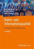 Marcus Gebauer, Knut Hildebrand, Michael Mielke - Daten- und Informationsqualität