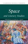 Elizabeth (Wayne State University Evans, Elizabeth Evans - Space and Literary Studies