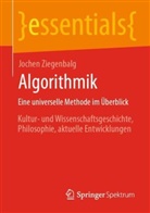 Jochen Ziegenbalg - Algorithmik Eine universelle Methode im Überblick