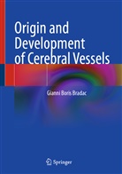 Gianni Boris Bradac - Origin and Development of Cerebral Vessels