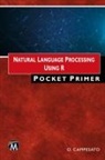 Oswald Campesato - Natural Language Processing using R Pocket Primer