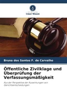 Bruna dos Santos F de Carvalho, Bruna dos Santos F. de Carvalho - Öffentliche Zivilklage und Überprüfung der Verfassungsmäßigkeit