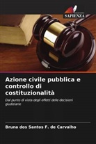 Bruna dos Santos F. de Carvalho - Azione civile pubblica e controllo di costituzionalità