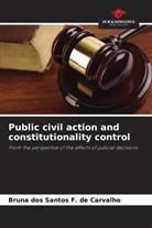 Bruna dos Santos F. de Carvalho - Public civil action and constitutionality control