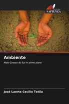 José Laerte Cecílio Tetila - Ambiente