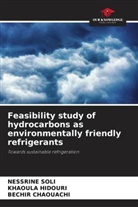 Bechir Chaouachi, Khaoula Hidouri, Nessrine Soli - Feasibility study of hydrocarbons as environmentally friendly refrigerants