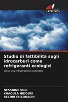 Bechir Chaouachi, Khaoula Hidouri, Nessrine Soli - Studio di fattibilità sugli idrocarburi come refrigeranti ecologici