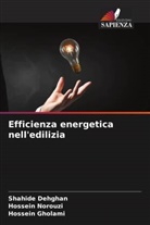 Shahide Dehghan, Hossein Gholami, Hossein Norouzi - Efficienza energetica nell'edilizia