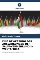 Jibrin Ubale Yahaya - EINE BEWERTUNG DER AUSWIRKUNGEN DER SALW-VERMEHRUNG IN WESTAFRIKA