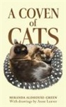 Miranda Aldhouse-Green - A Coven of Cats