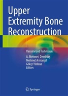 Mehmet Armangil, A. Mehmet Demirtas, A. Mehmet Demirtaş, Gökçe Yildiran, Gökçe Yıldıran - Upper Extremity Bone Reconstruction