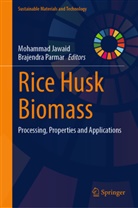 Mohammad Jawaid, Parmar, Brajendra Parmar - Rice Husk Biomass