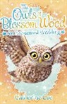 Catherine Coe, Coe Catherine - The Owls of Blossom Wood: An Enchanted Wedding