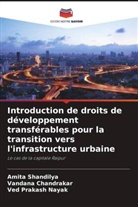 Vandana Chandrakar, Ved Prakash Nayak, Amita Shandilya - Introduction de droits de développement transférables pour la transition vers l'infrastructure urbaine