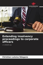 Christian Lulema Ndagano - Extending insolvency proceedings to corporate officers