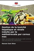 Hassan Saei Ahan - Gestion de la toxicité hépatique et rénale induite par le méthotrexate par cornus mas